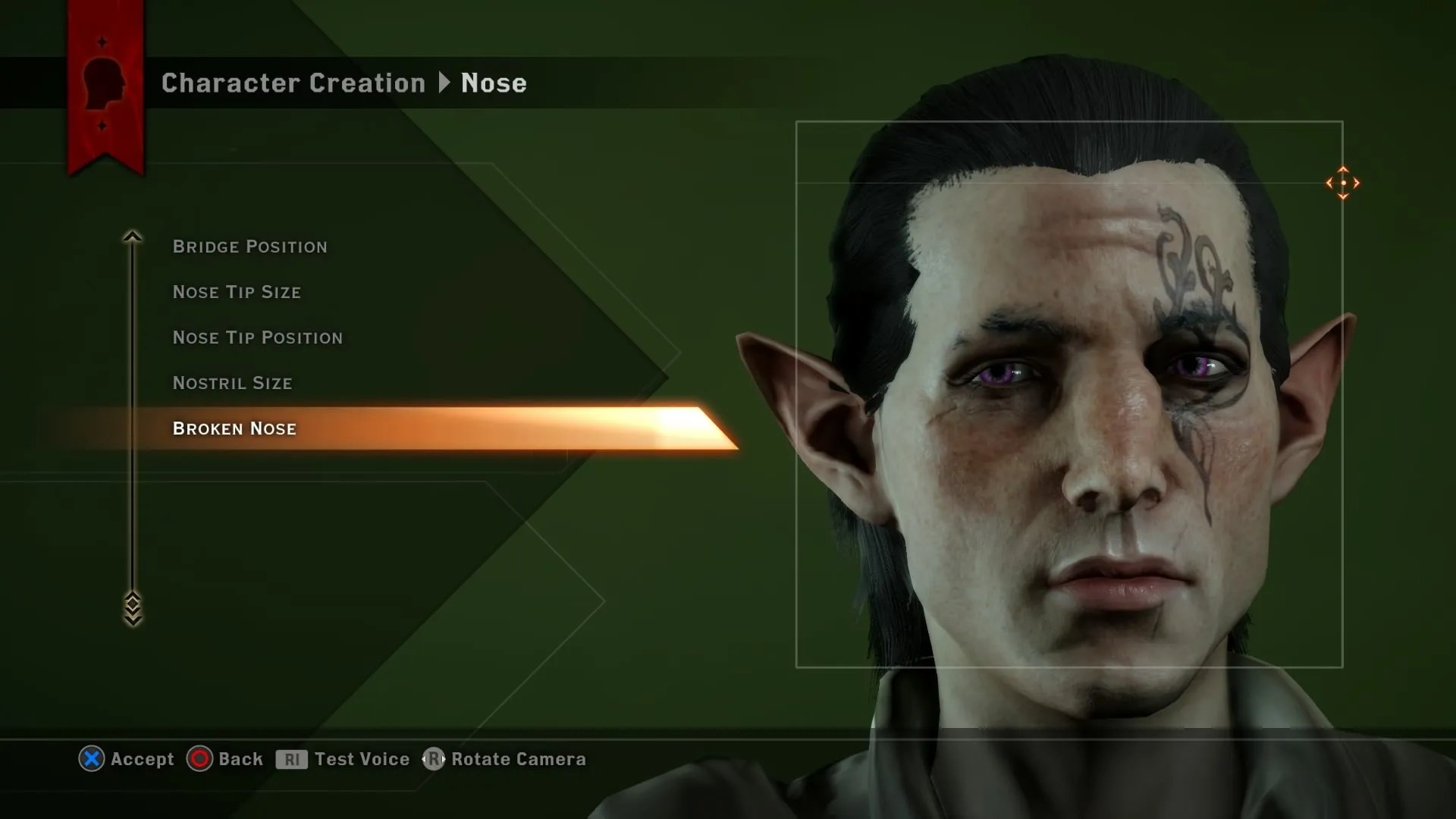 Dragon Age Inquisition elf customization