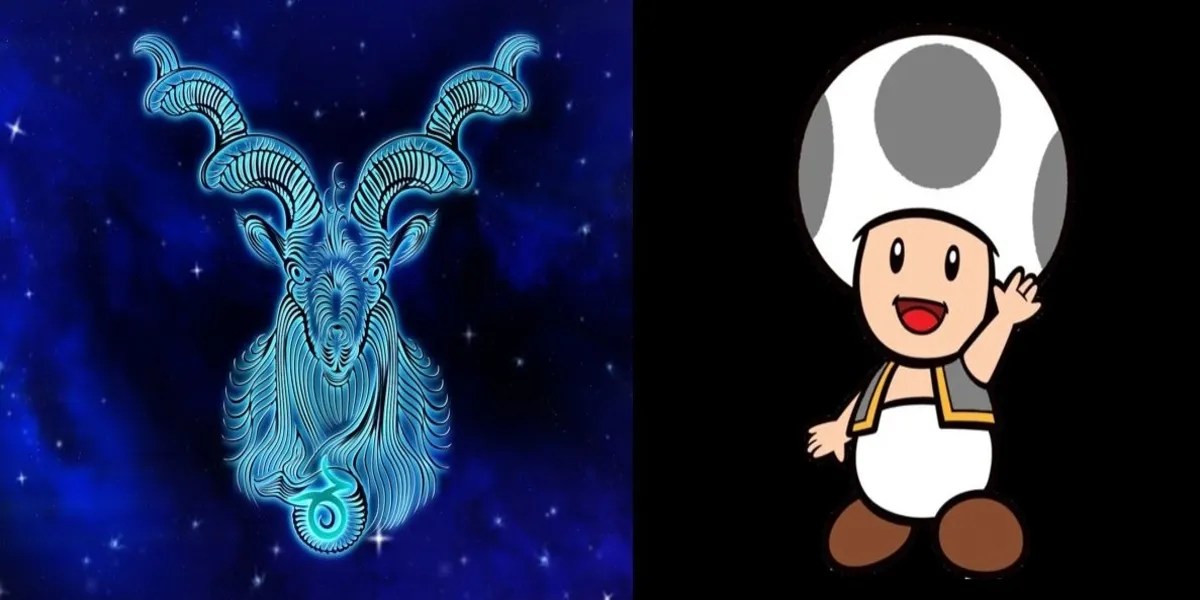 Zodiac Capricorn Mario Gray Toad