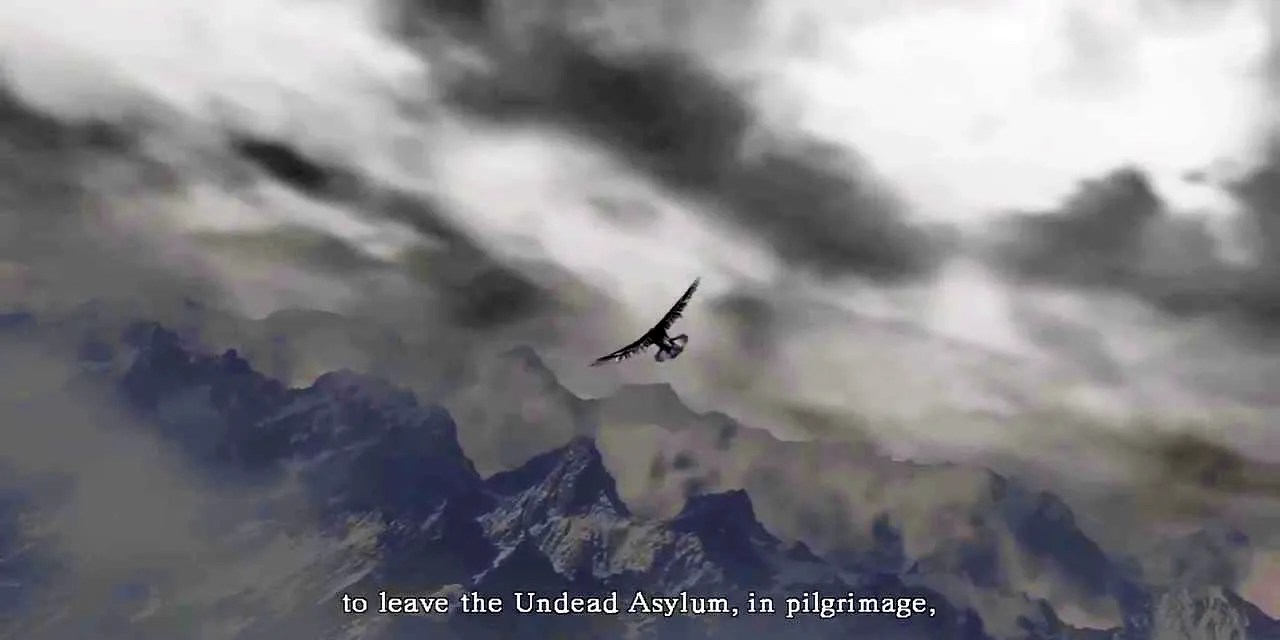 crow leaving asylum