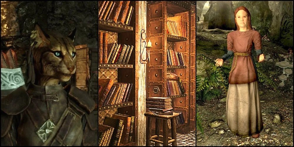 Images of a Khajiit, a bookshelf, and Babette