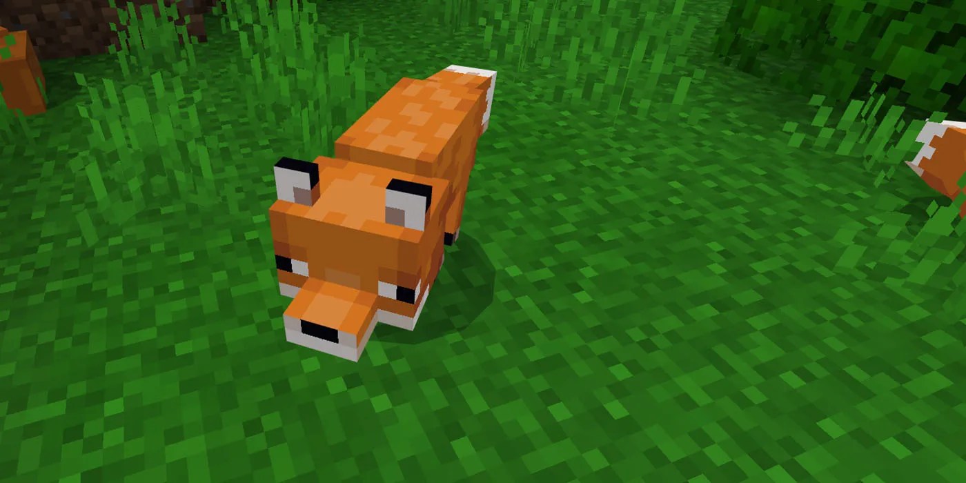 Minecraft How to Tame a Fox