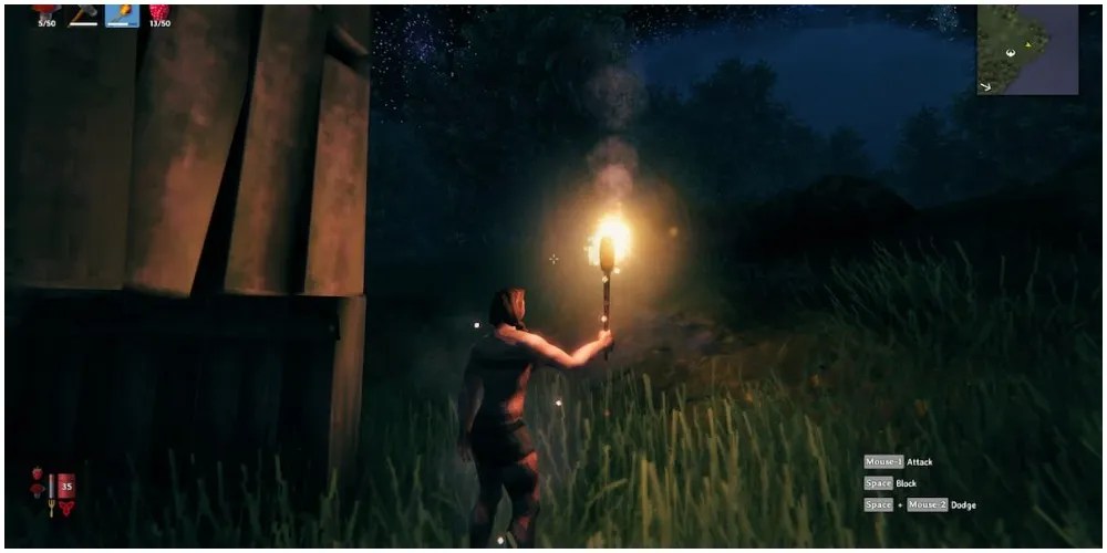 Valheim Torch