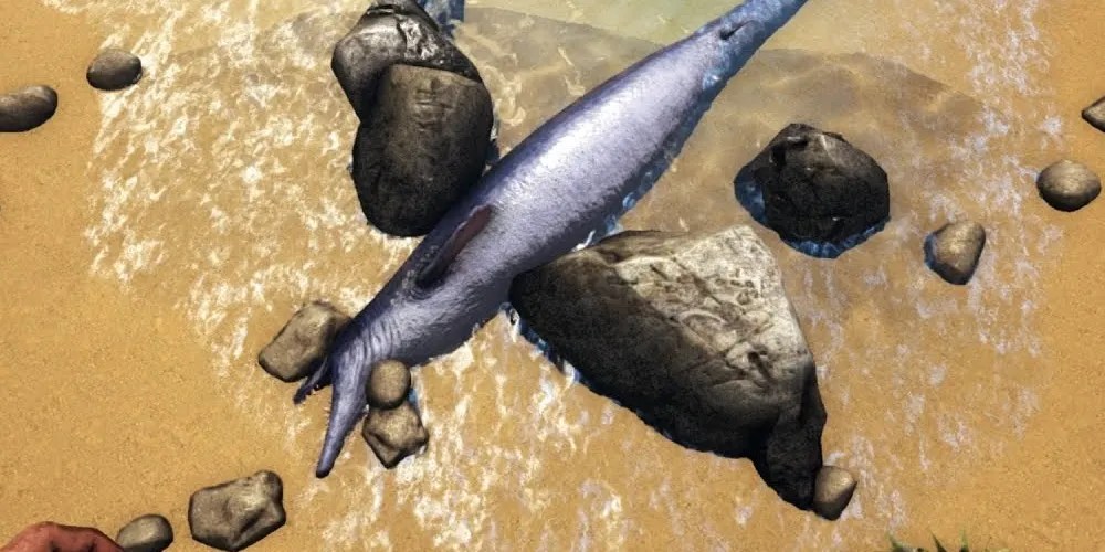 ark dead fish on beach