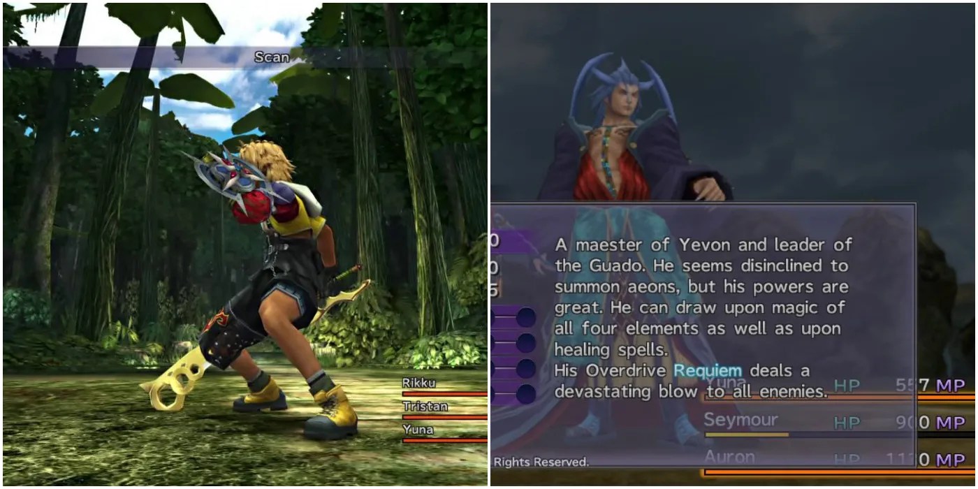 FF10 Tidus Using Scan and Scan Screen