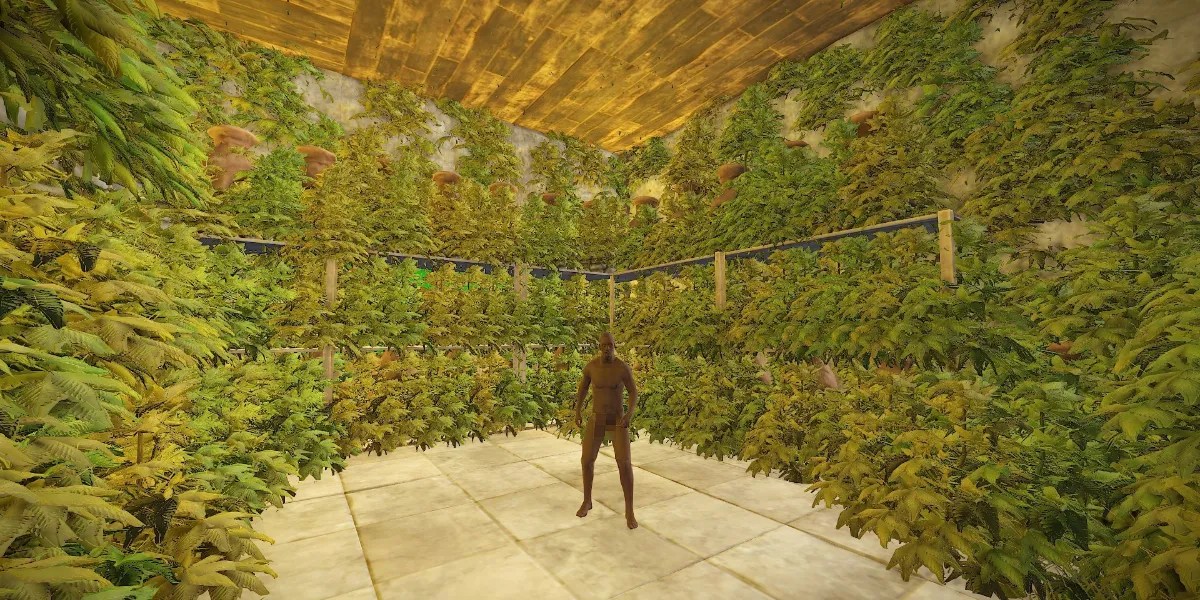 Rust Hemptopia