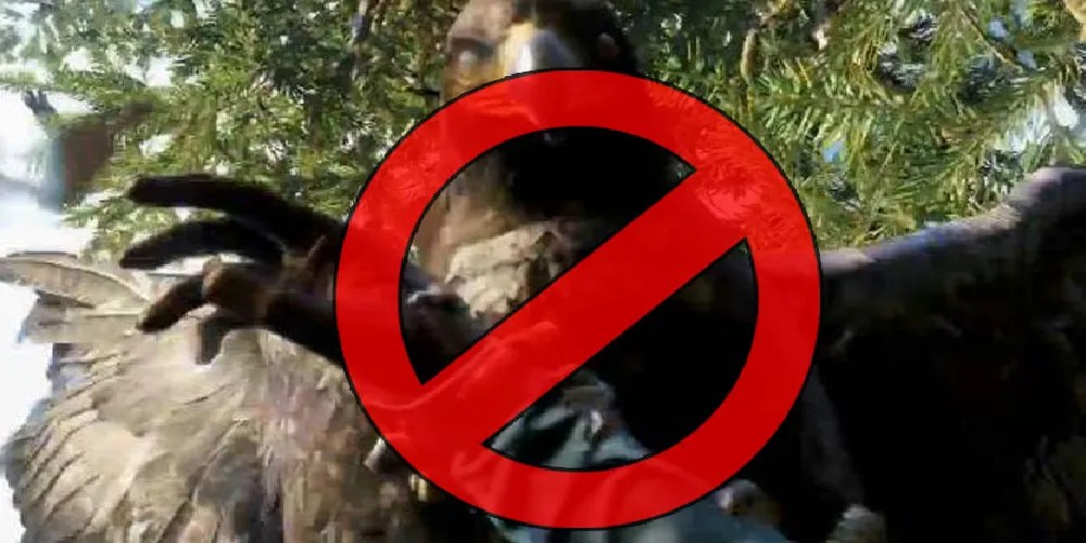 no eagles mod that removes eagle attacks.
