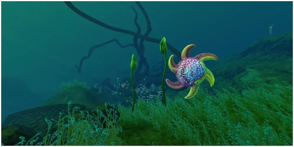 Subnautica Below Zero All Herbivore Creatures & Where To Find Them