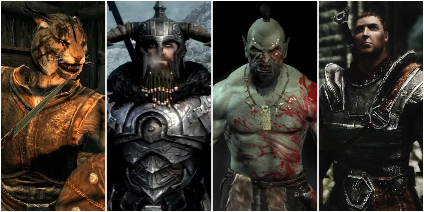 A Split Image Of Skyrim&rsquo;s Races