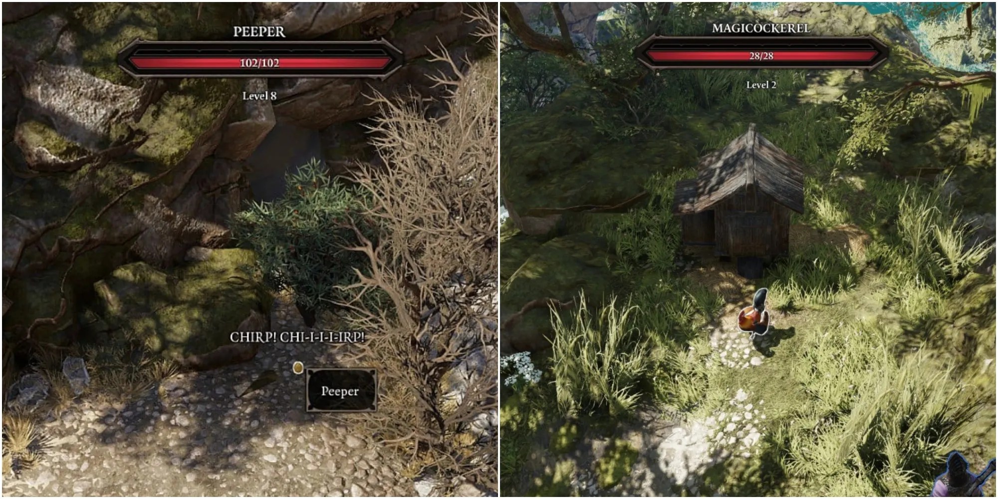 Divinity Original Sin 2 Counting Your Chickens Quest Guide