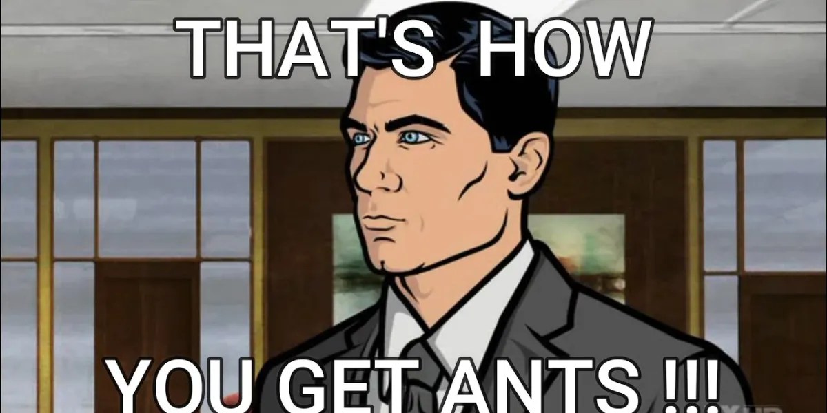 Thats how you get ants