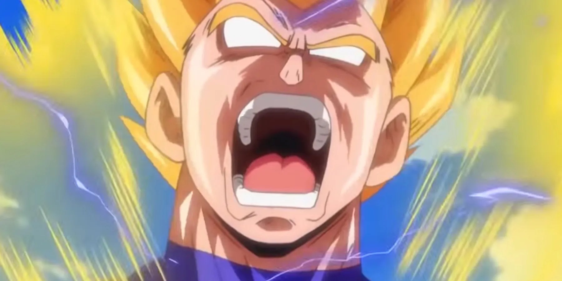 Dragon Ball Vegeta Screams At Beerus