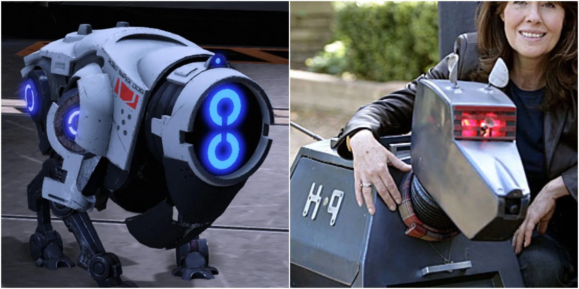 K9 from Mass Effect 3 and KEI-9 from The Sarah Jane Adventures.