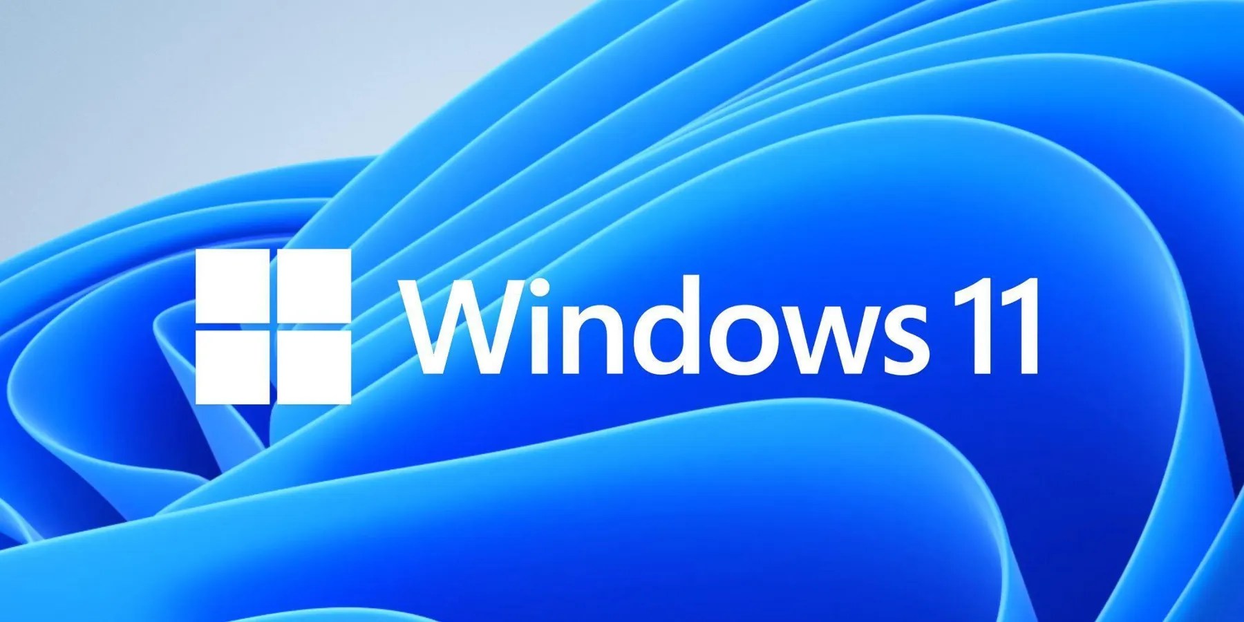 windows 11 logo