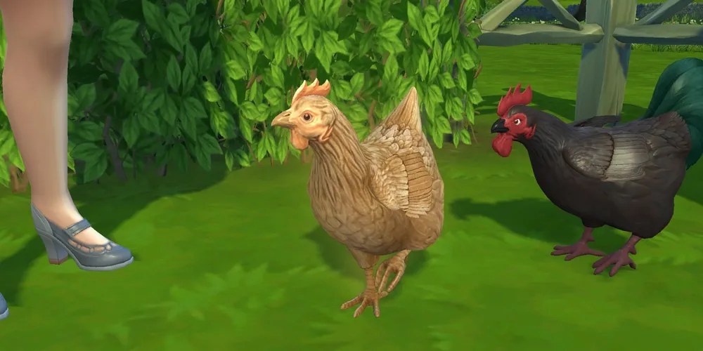 Sims 4 chickens
