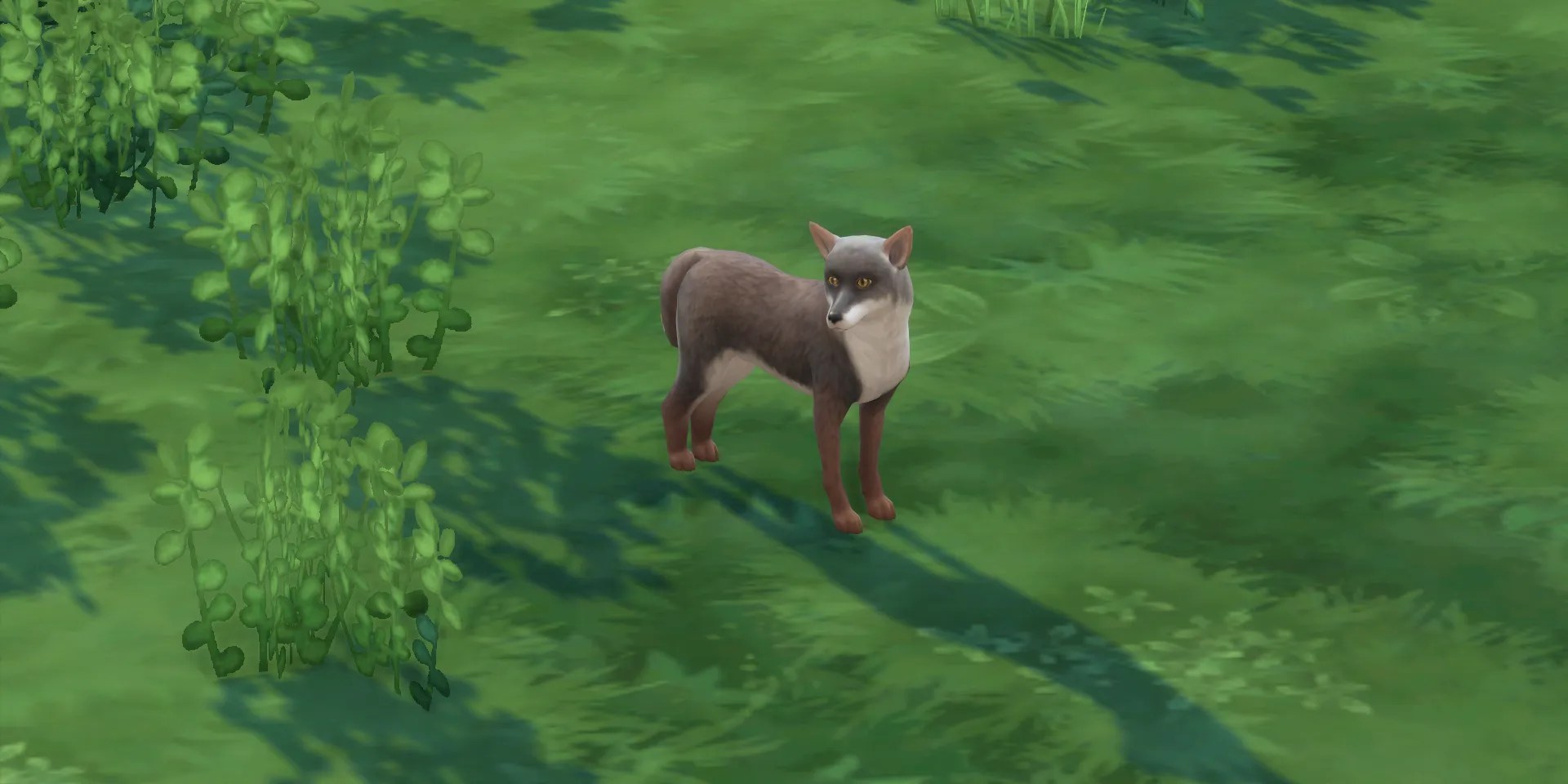 Sims 4 fox