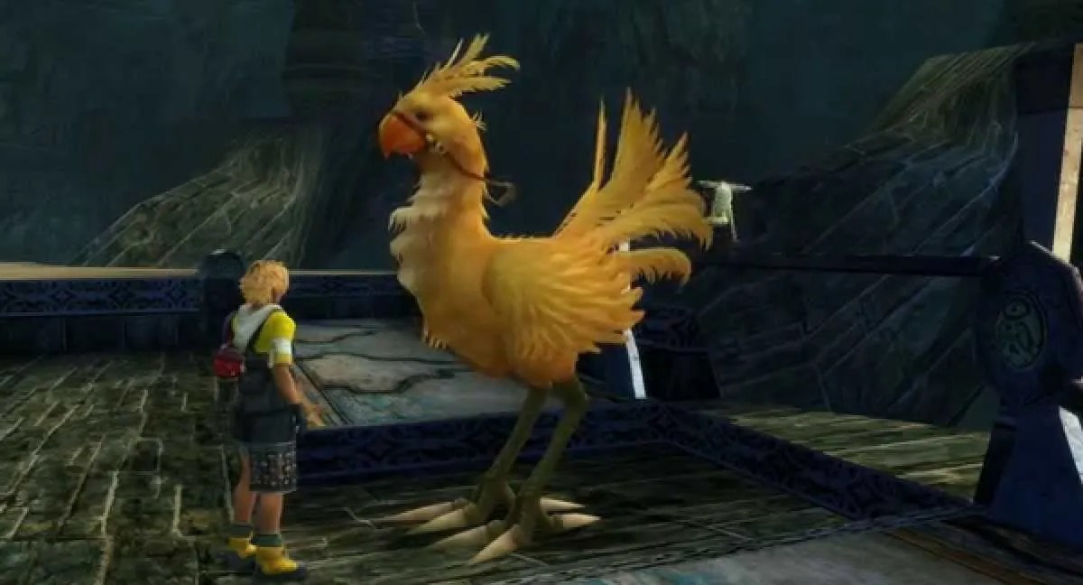 Tidus with chocobo.