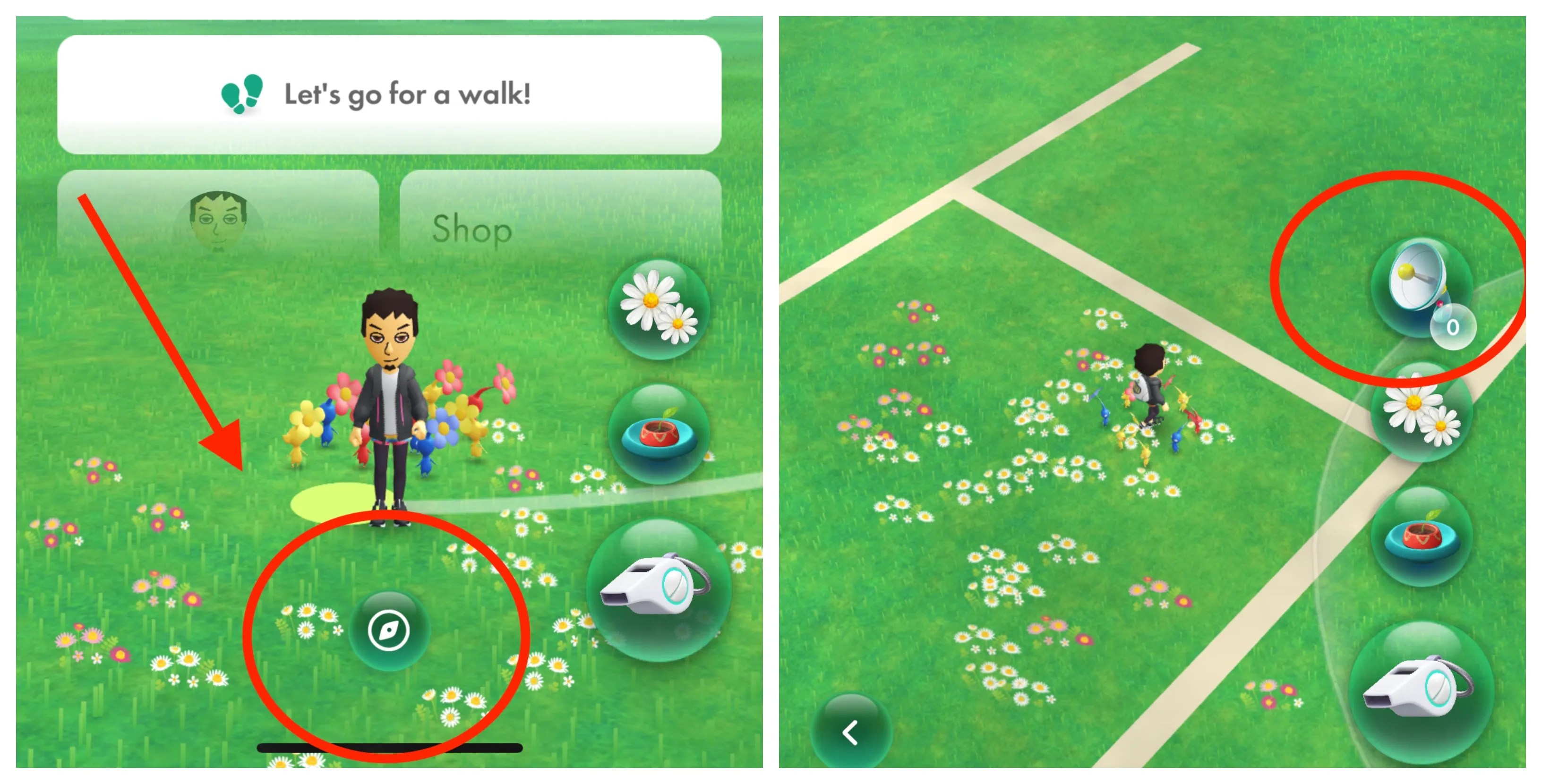 pikmin bloom detector guide