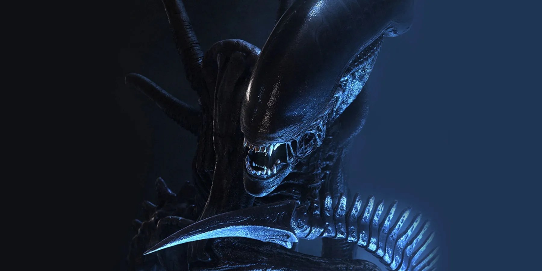 Xenomorph