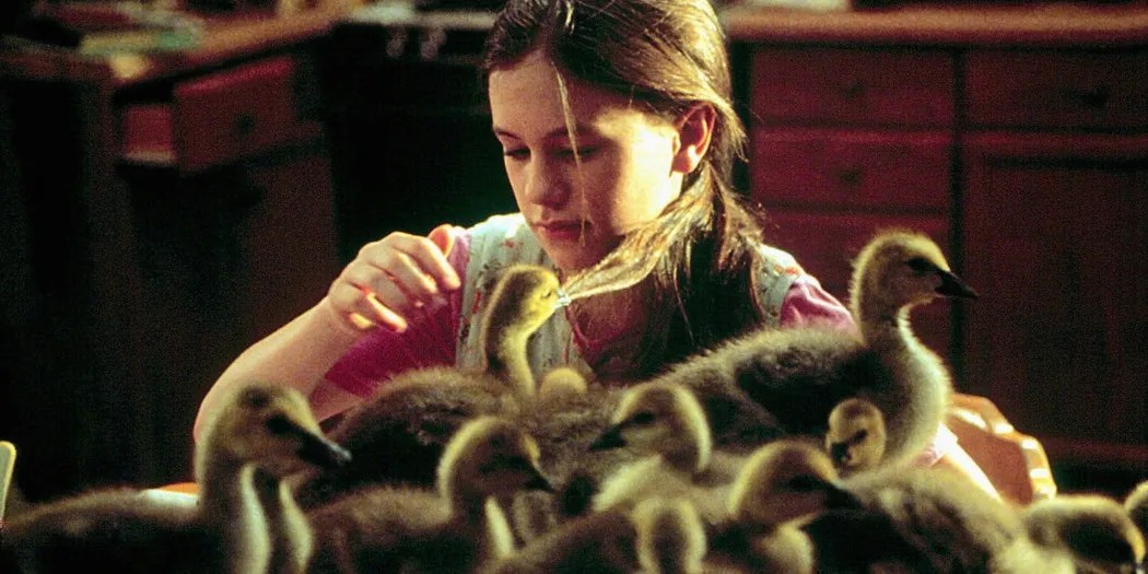 Fly Away Home (1996)