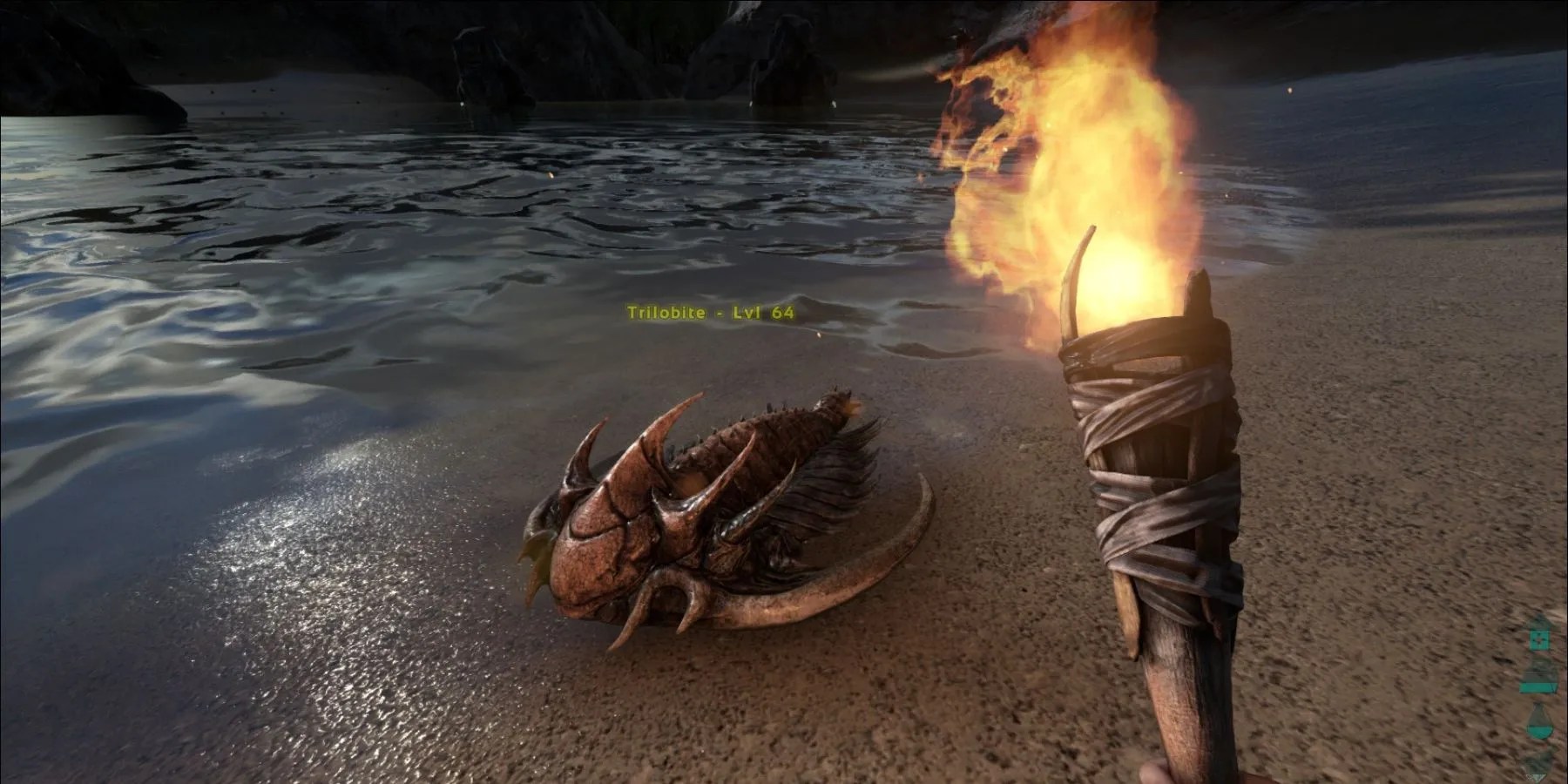 Hunting a Trillabite
