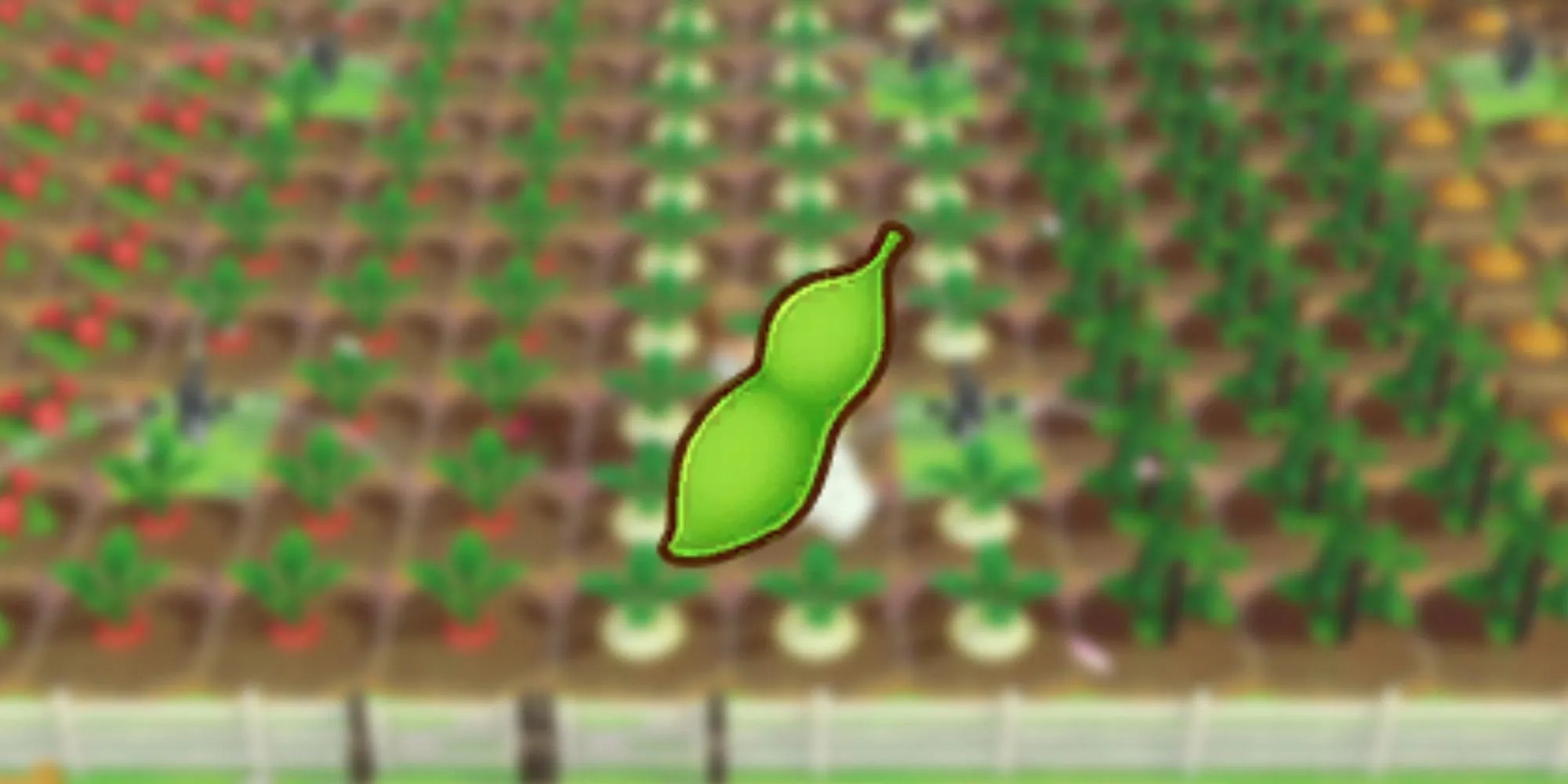 Beans icon as it would be seen in players inventory over blurred background of crops in game