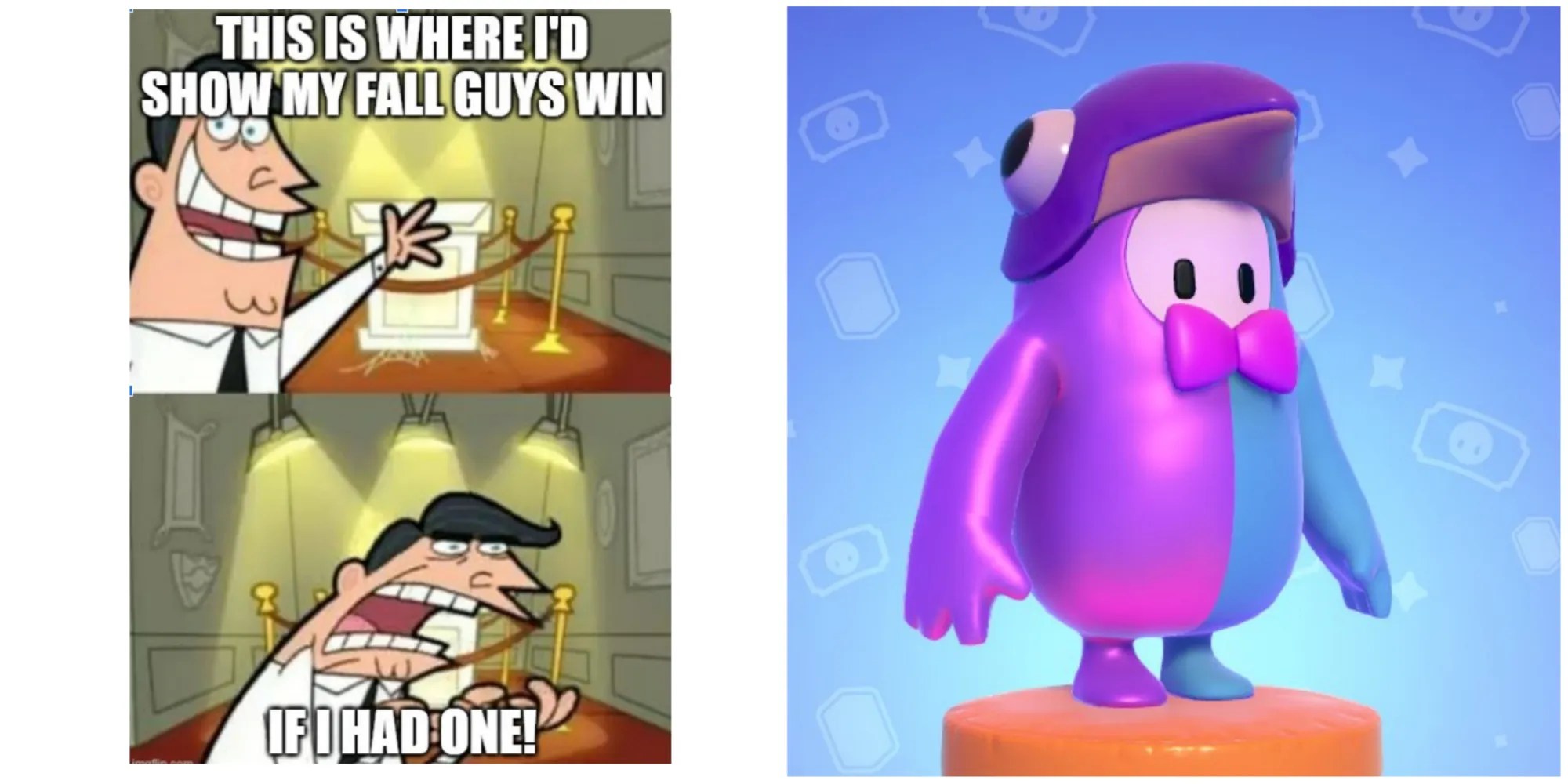 meme from the game fall guys