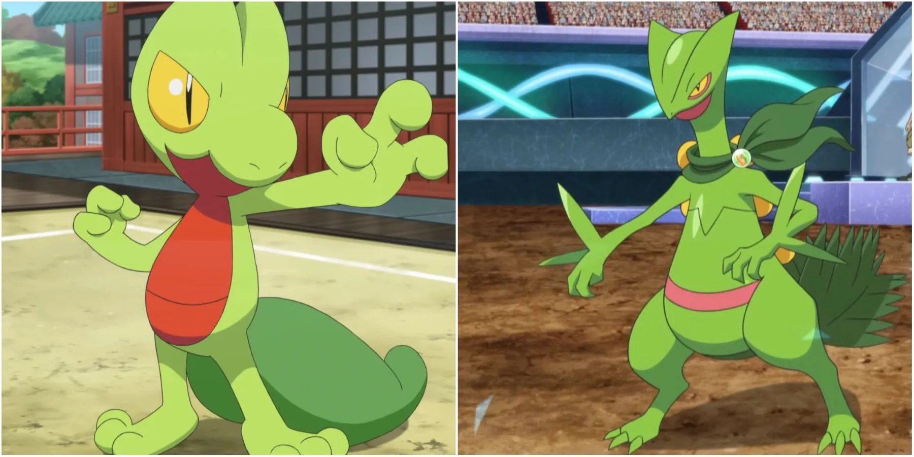 TreeckoSceptile