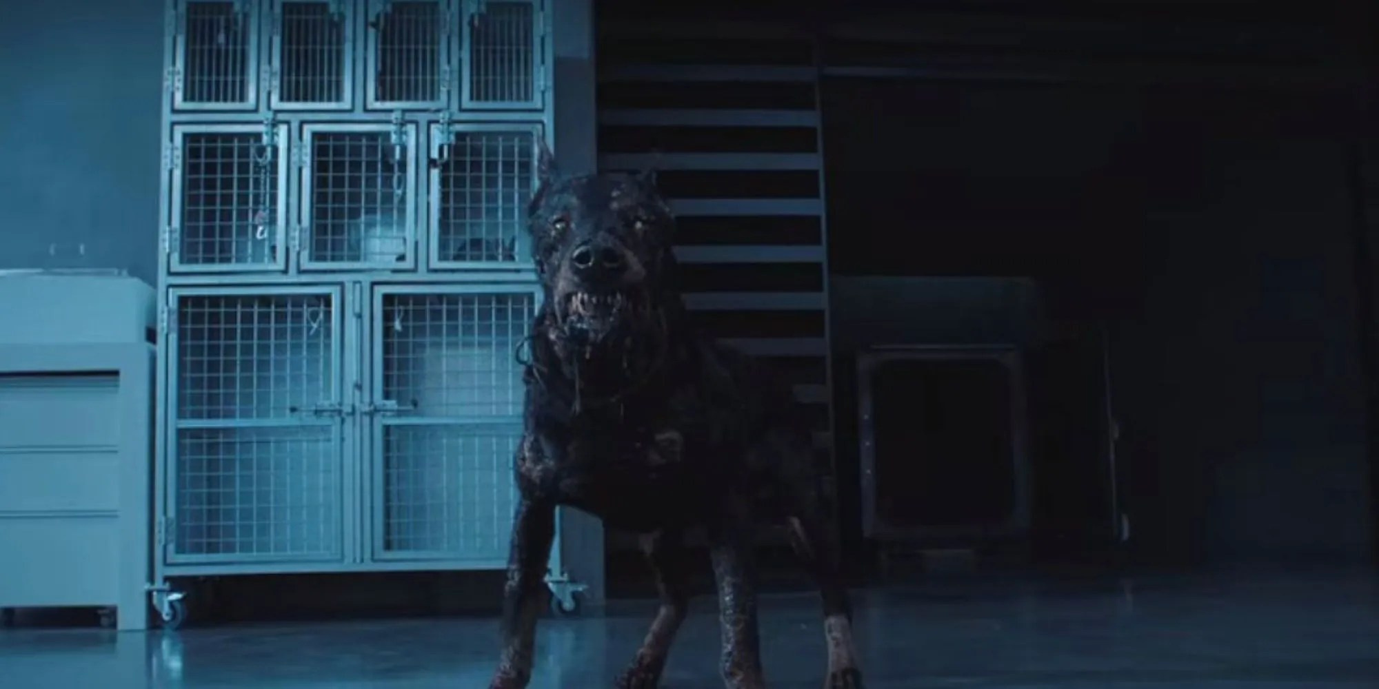 Infected dog in the New Raccoon City Lab in Netflix&rsquo;s Resident Evil series.