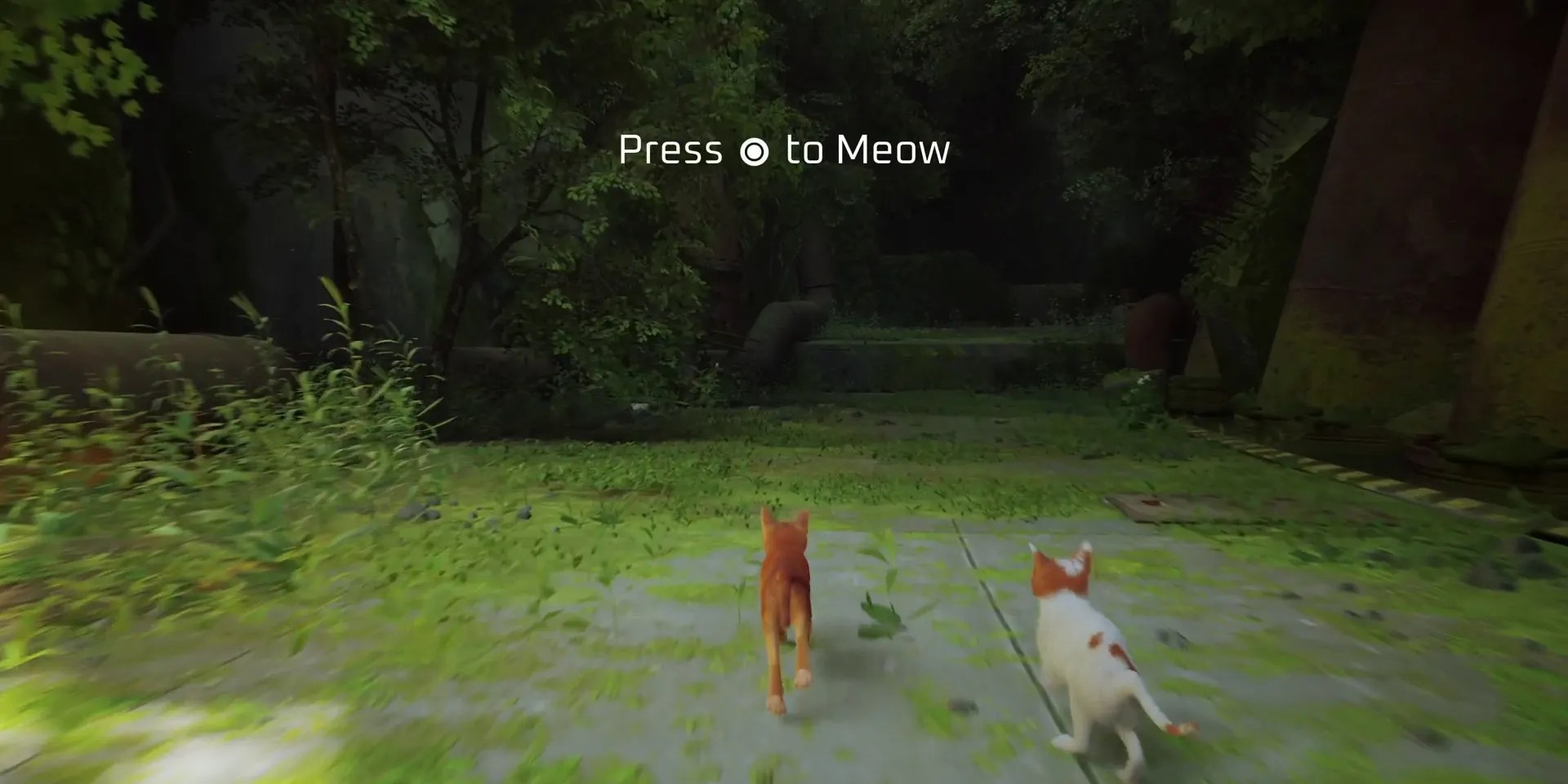 stray-chapter-1-inside-the-wall-complete-guide-02-how-to-meow