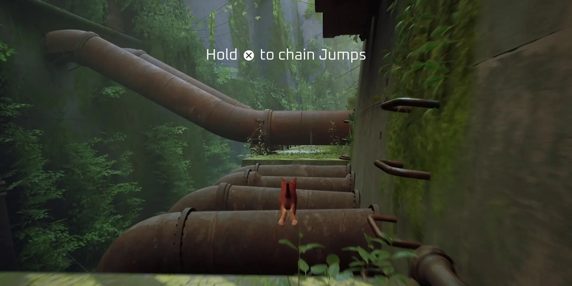 stray-chapter-1-inside-the-wall-complete-guide-03-how-to-chain-jumps