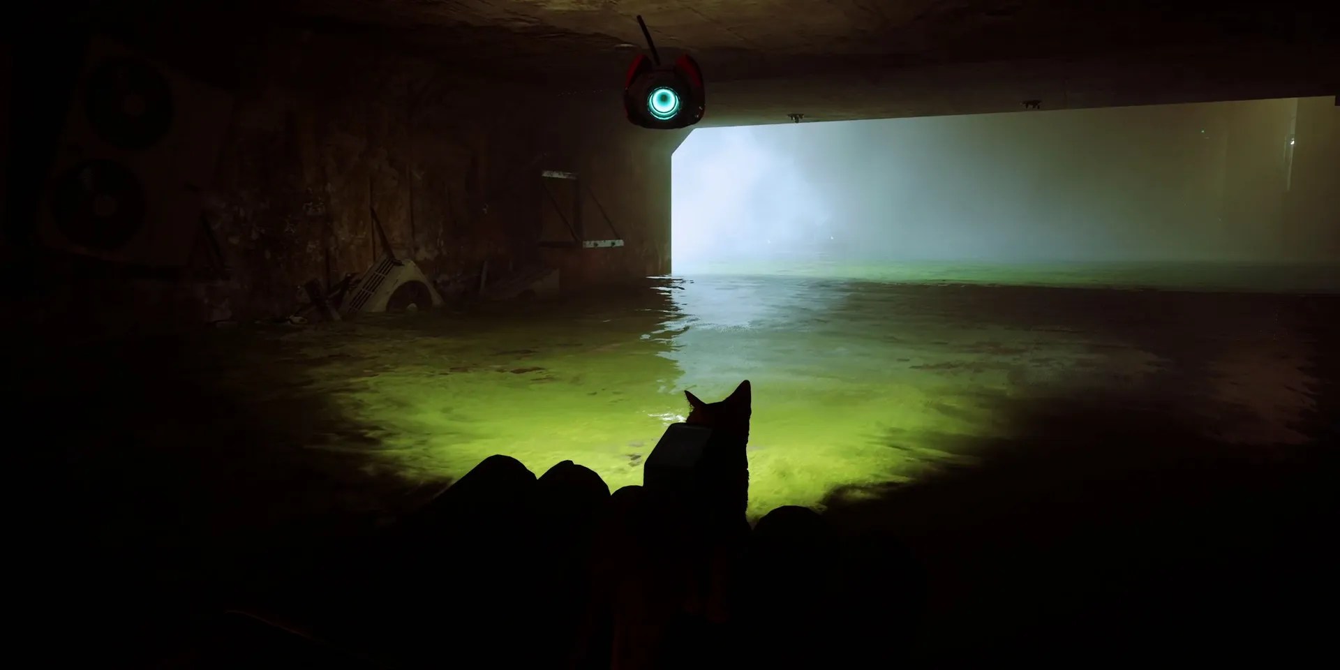 stray-how-to-unlock-the-pacifist-trophy-01-sewers