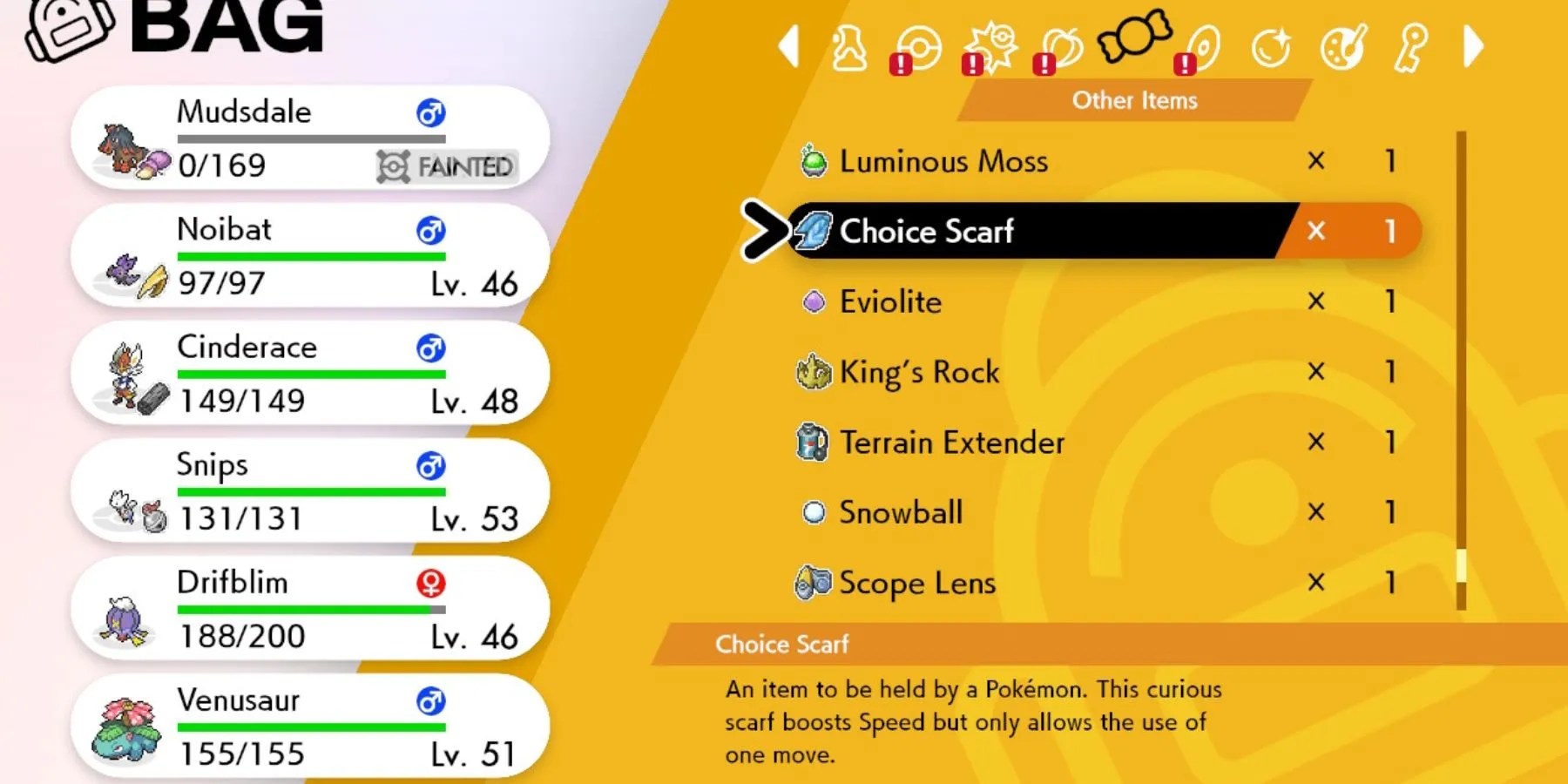 Pokemon VGC Item Guide