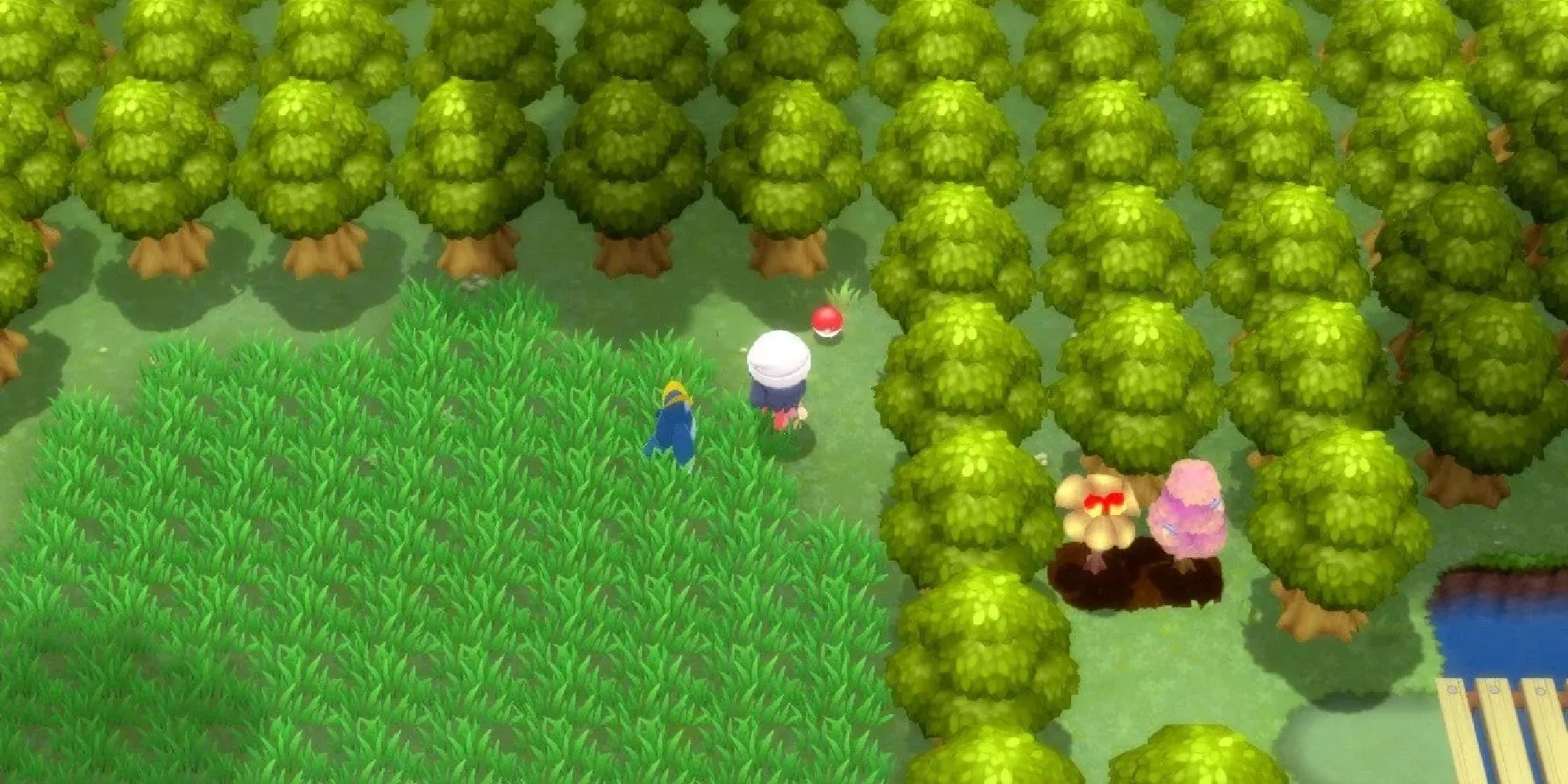 A female trainer on Route 209 in Brilliant Diamond &amp; Shining Pearl