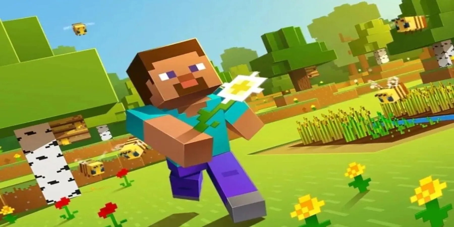 Minecraft Steve
