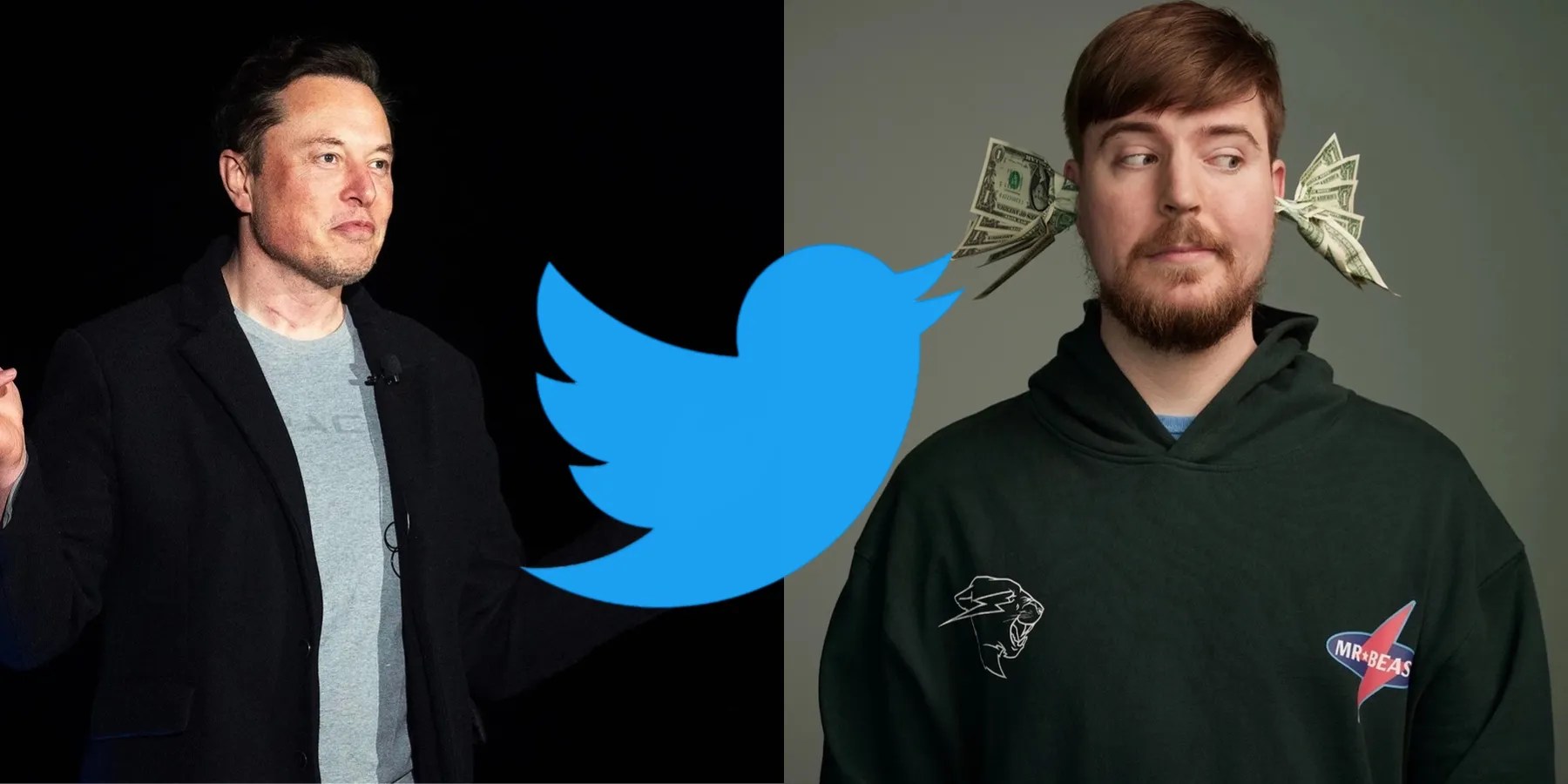 Elon Musk Responds After MrBeast Asks to Be New Twitter CEO