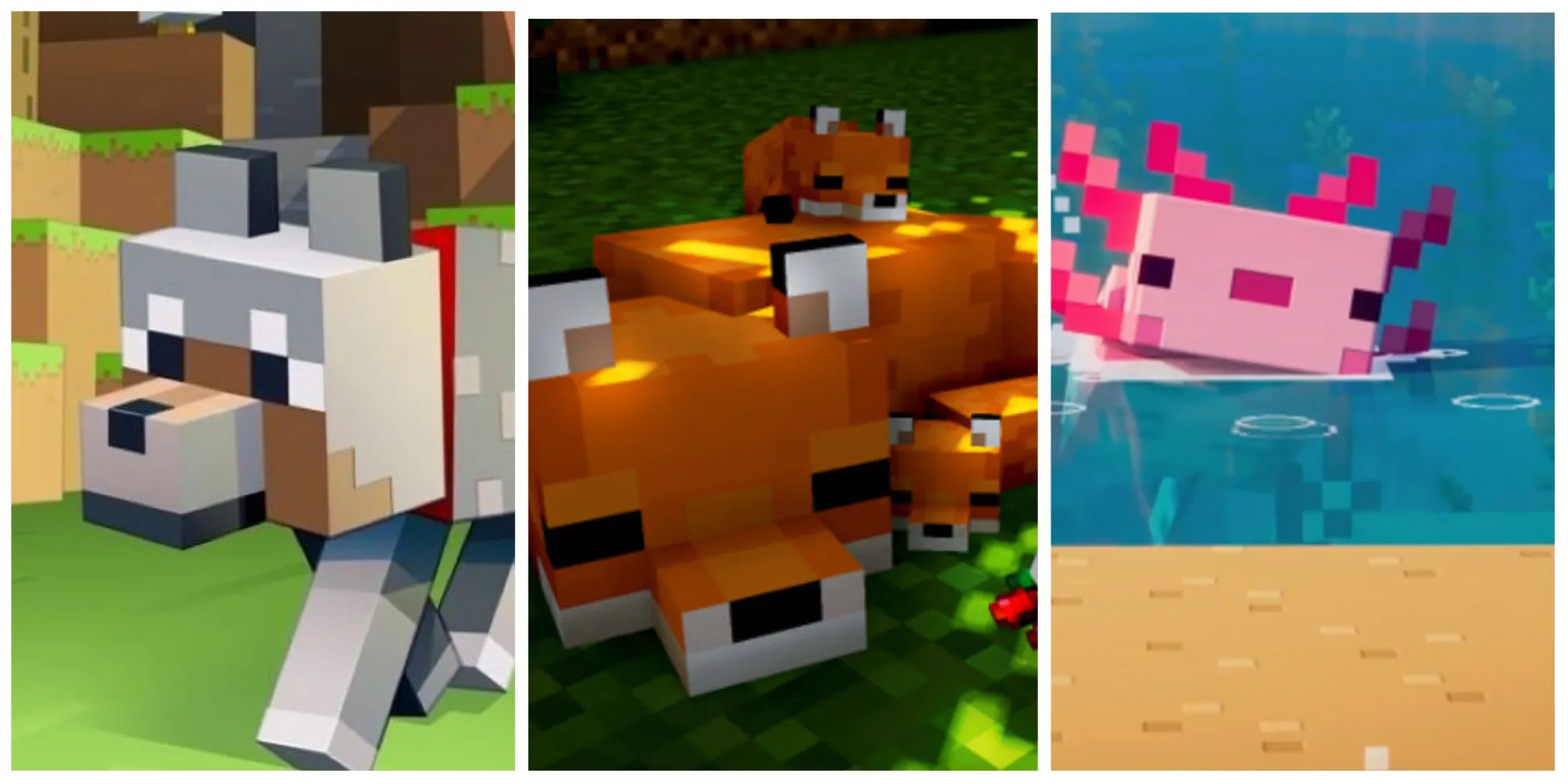 Minecraft Best Pets