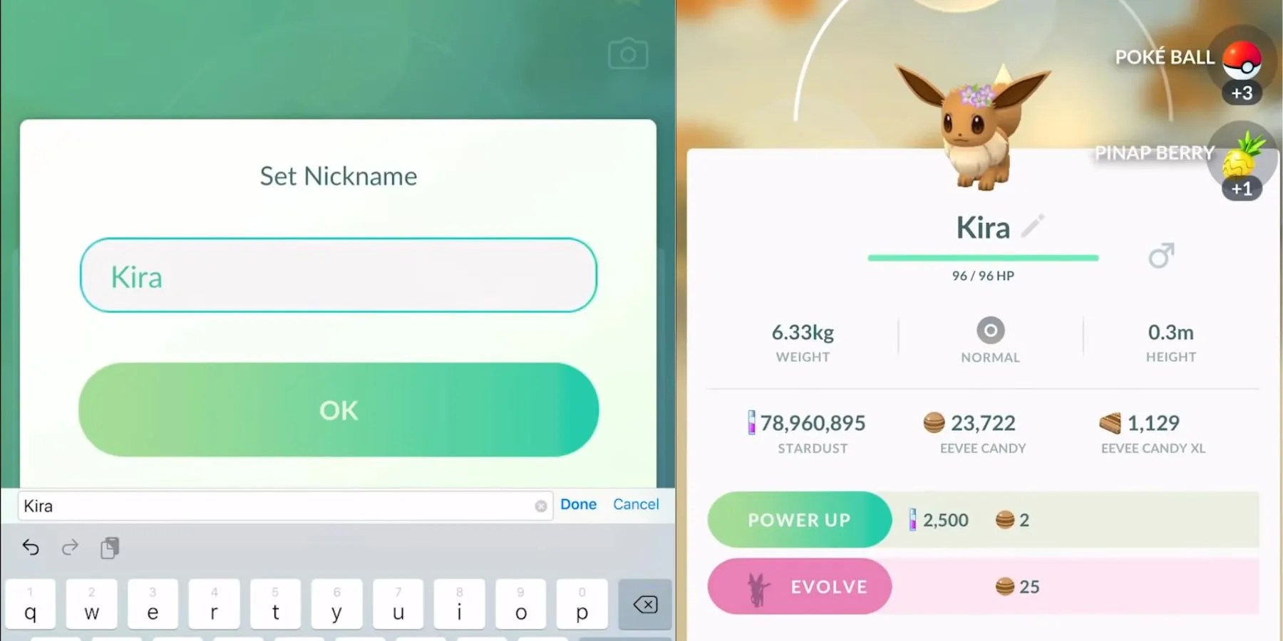 How to Get Every Eevee Evolution in Pokemon GO (2024)