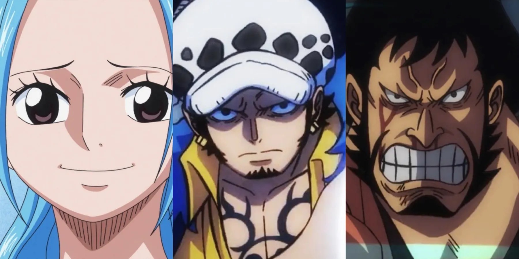 vivi trafalgar law kinemon one piece