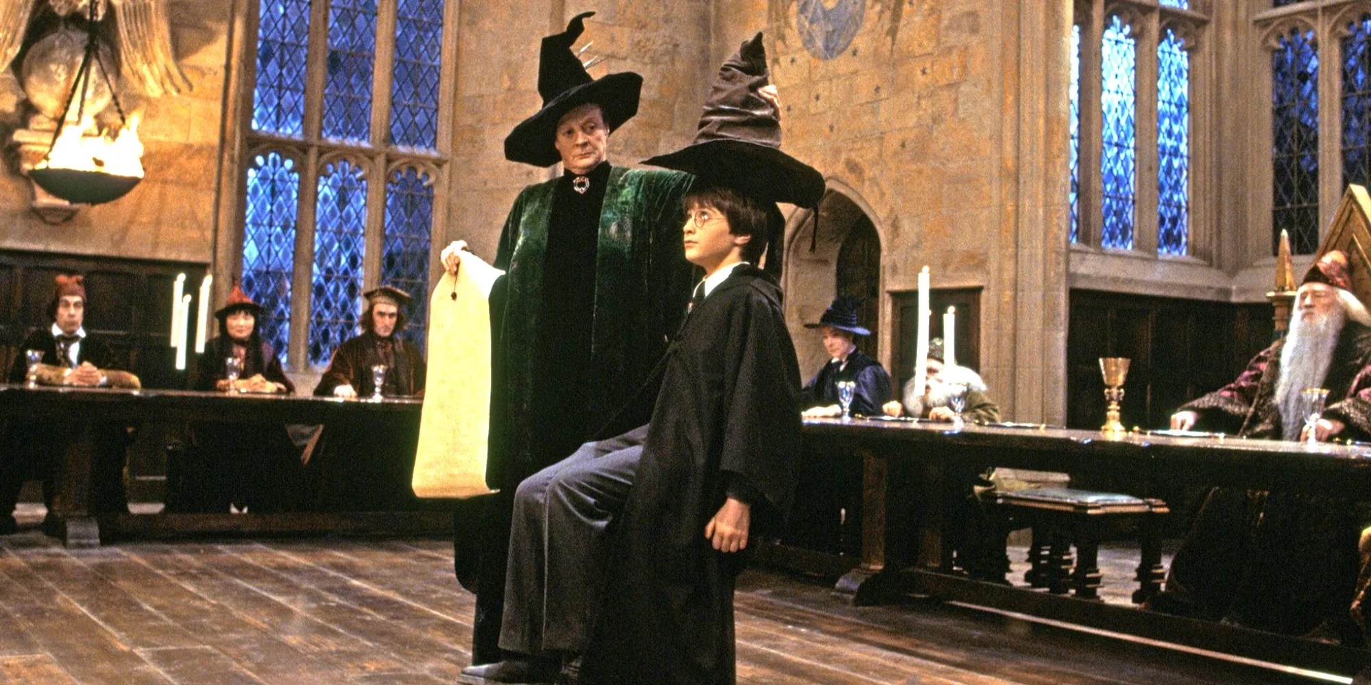 Harry Potter Sorting Hat