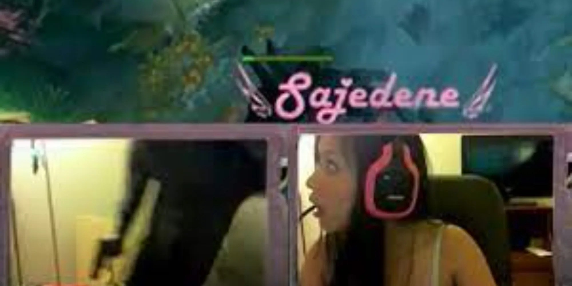 sajadene and the robber