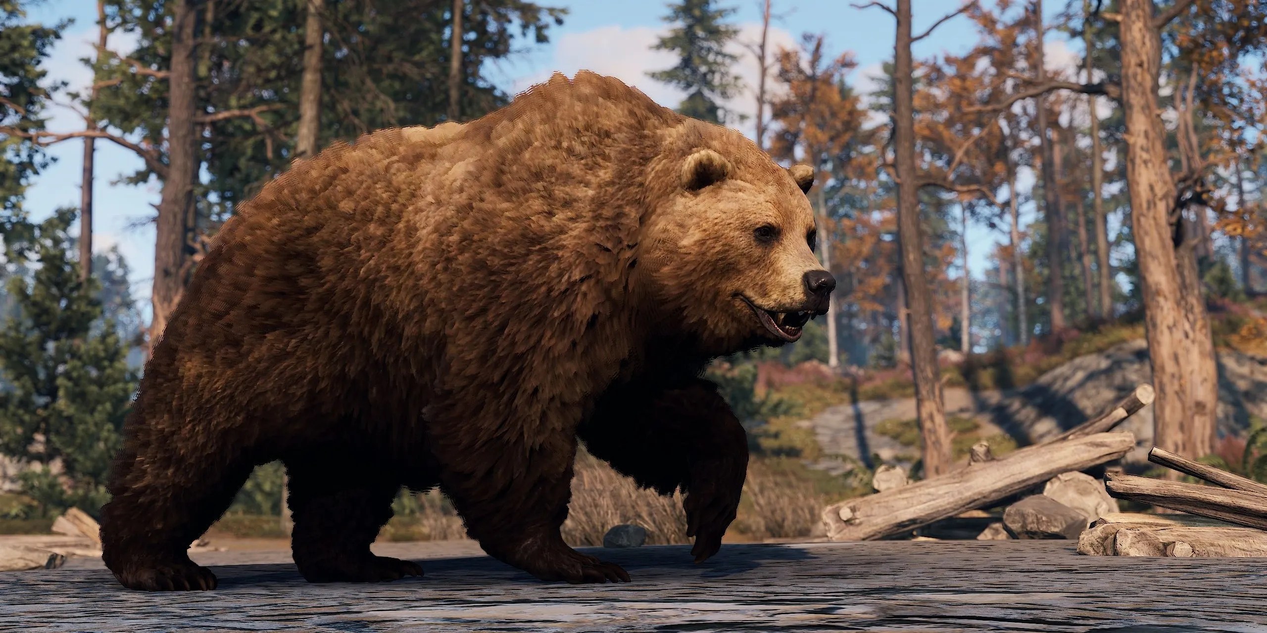 A bear in Rust