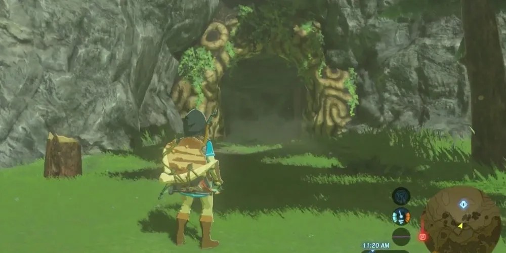 Link Looking At The Shrine Of Resurrection Tears Of The Kingdom