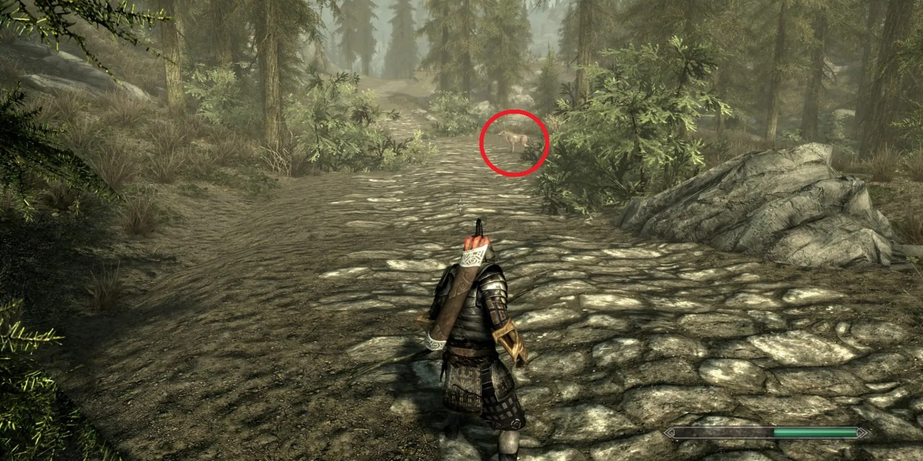 The Dragonborn finds Meeko in Skyrim