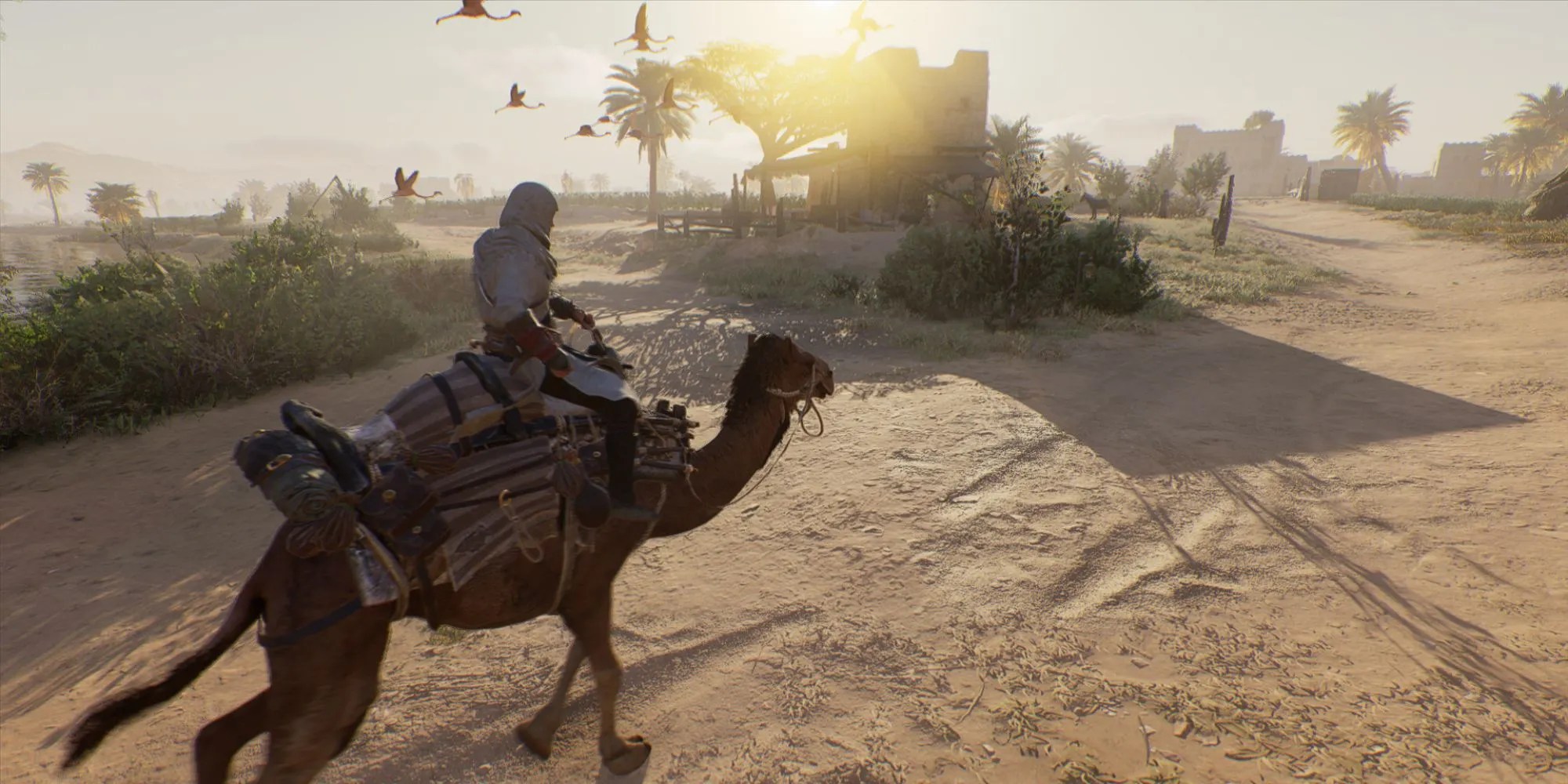 Assassin&rsquo;s Creed Riding Camel