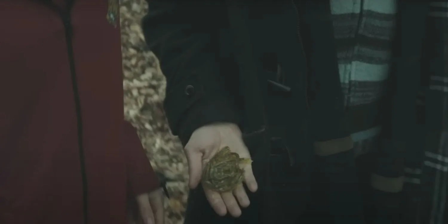 An Image of Harry Potter: Gillyweed