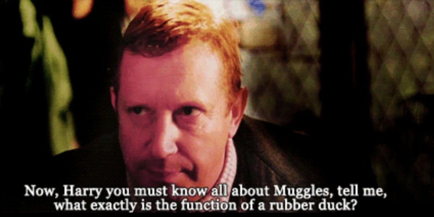 An Image of Harry Potter: Muggle Studies