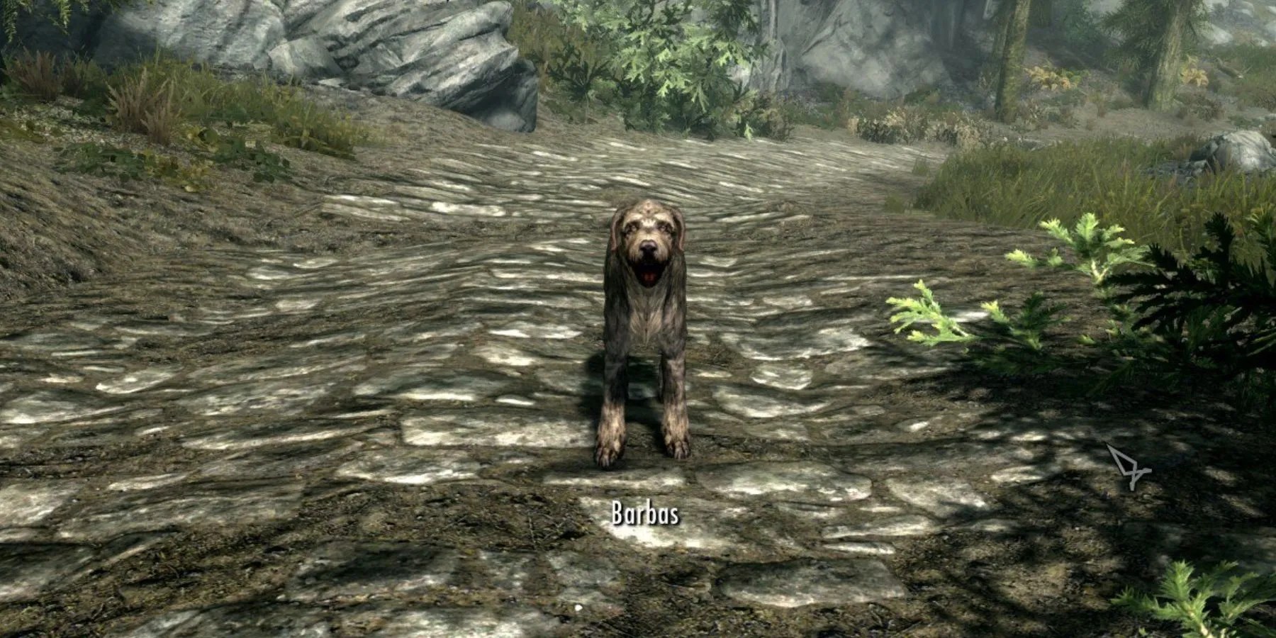 Skyrim: Barbas