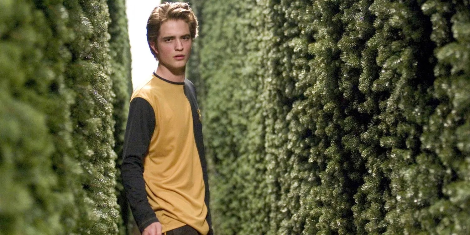 An image of Harry Potter: Cedric Diggory