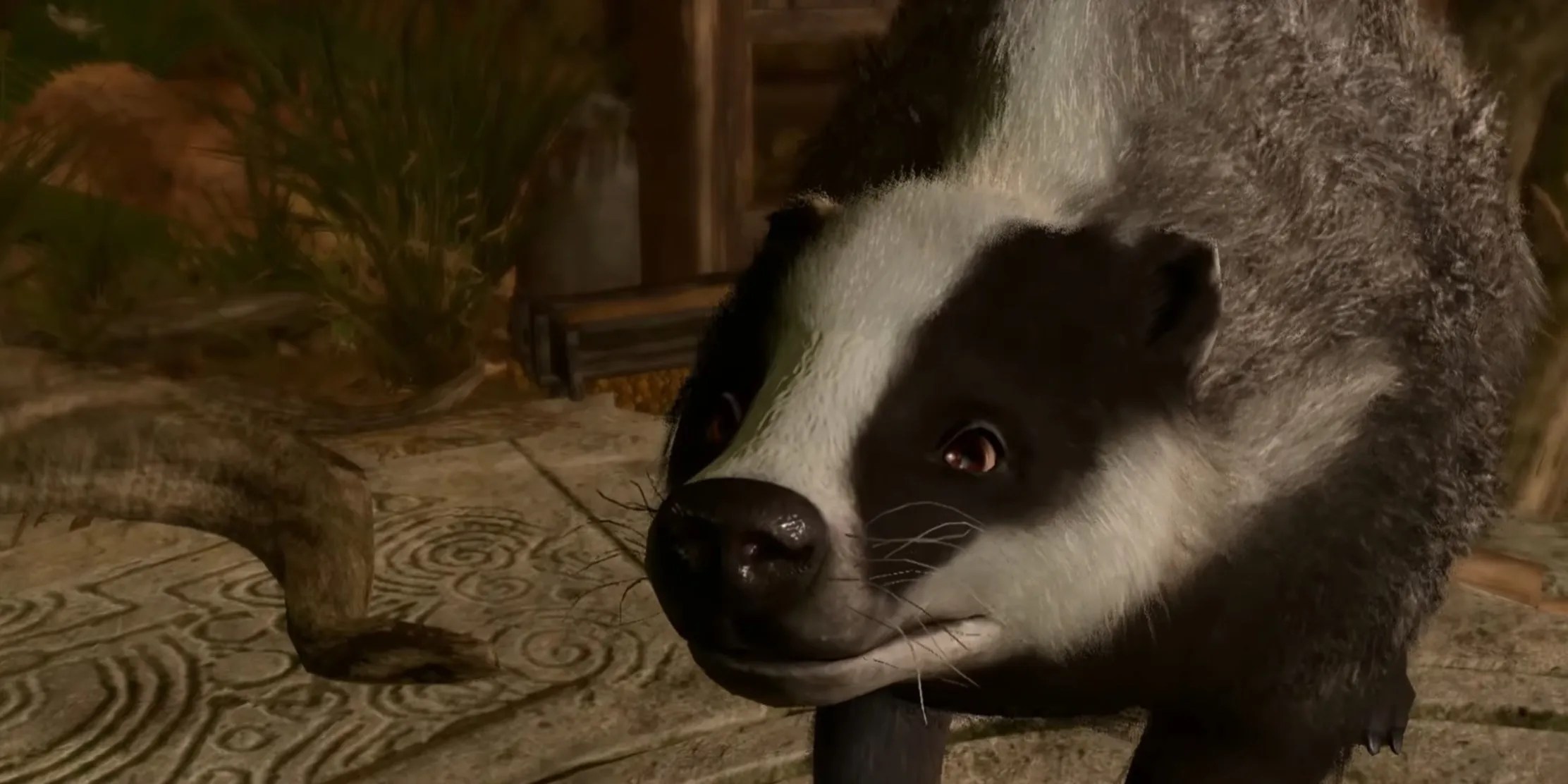 postmaster badger in jaheira&rsquo;s basement