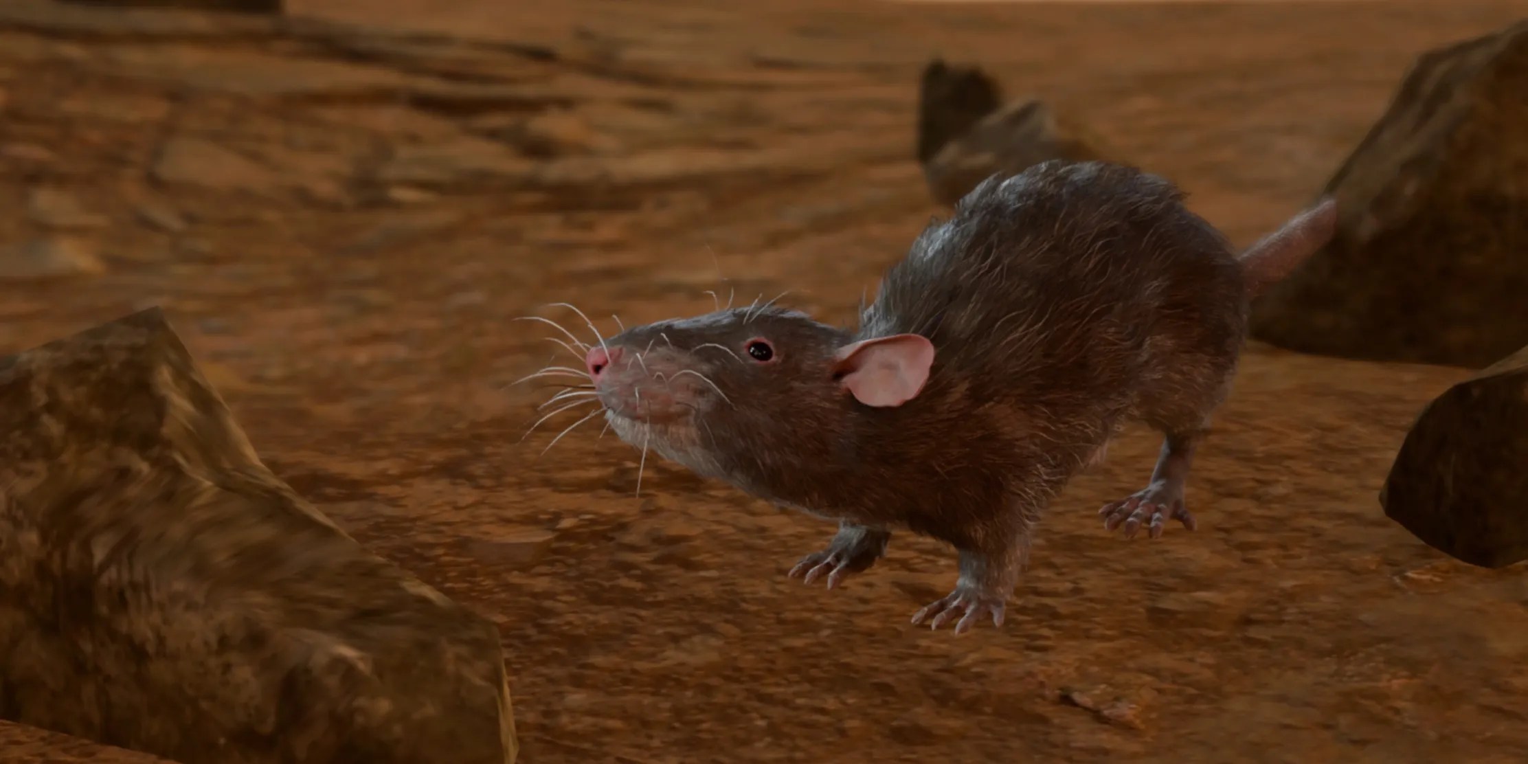 rat emerald grove baldur&rsquo;s gate 3